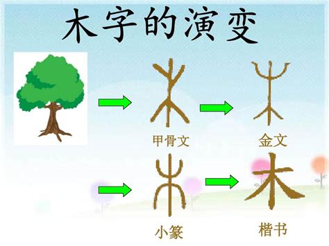 木字旁好看的字|木字旁的字寓意最好的 带木的汉字寓意好的